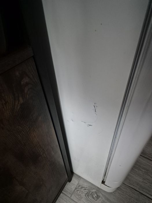 Lodowka używana w pełni sprawna 186cm
