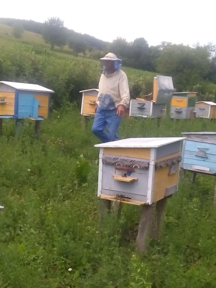 Продам мед з власної пасіки