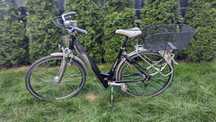 Rower Sparta ION XTS