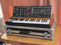 Behringer Poly D - flightcase gratis