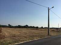Terreno em Monte Real