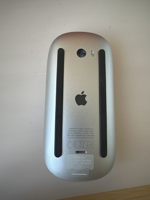 Apple magic mouse