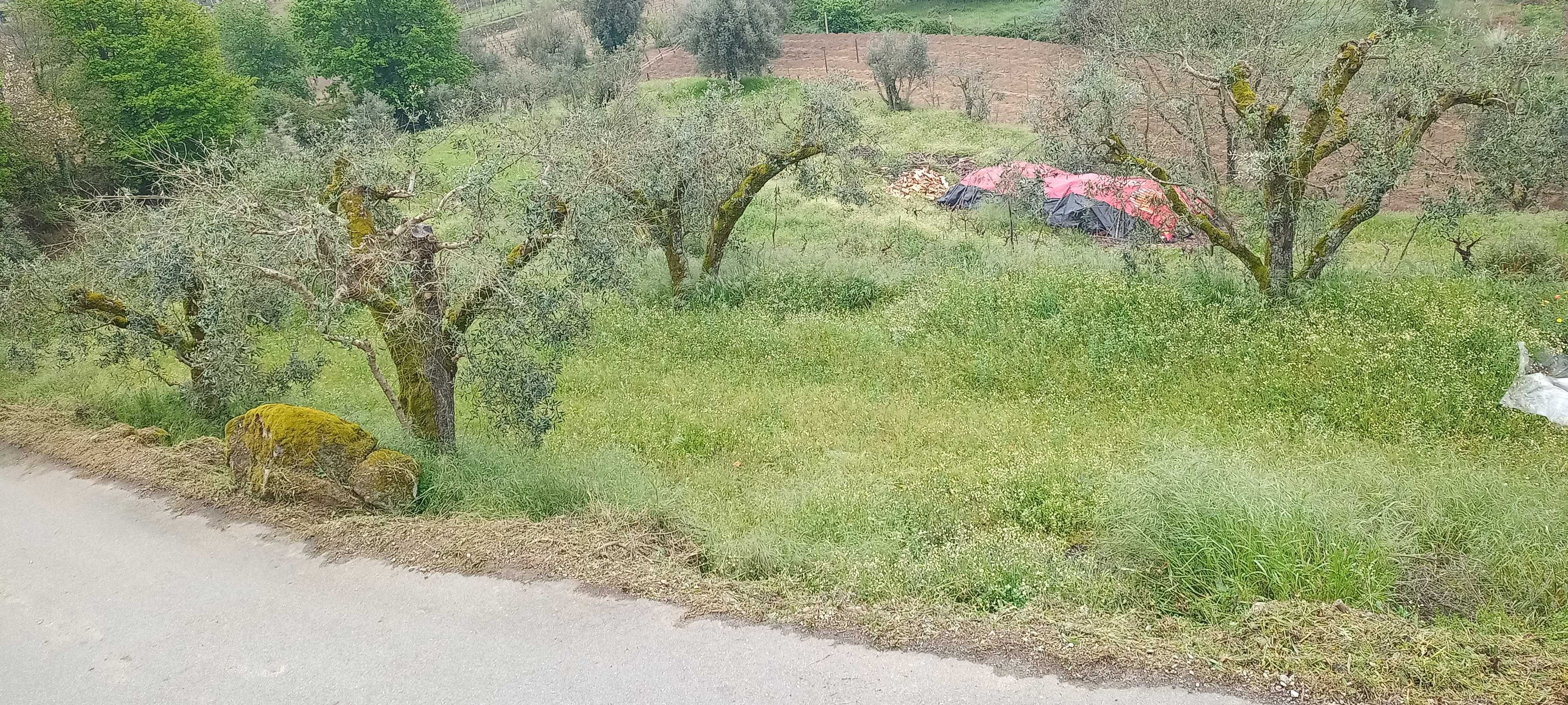 Terreno à venda na Aldeia de Casal Diz, Pindo