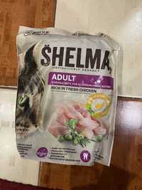 Корм для котів Shelma