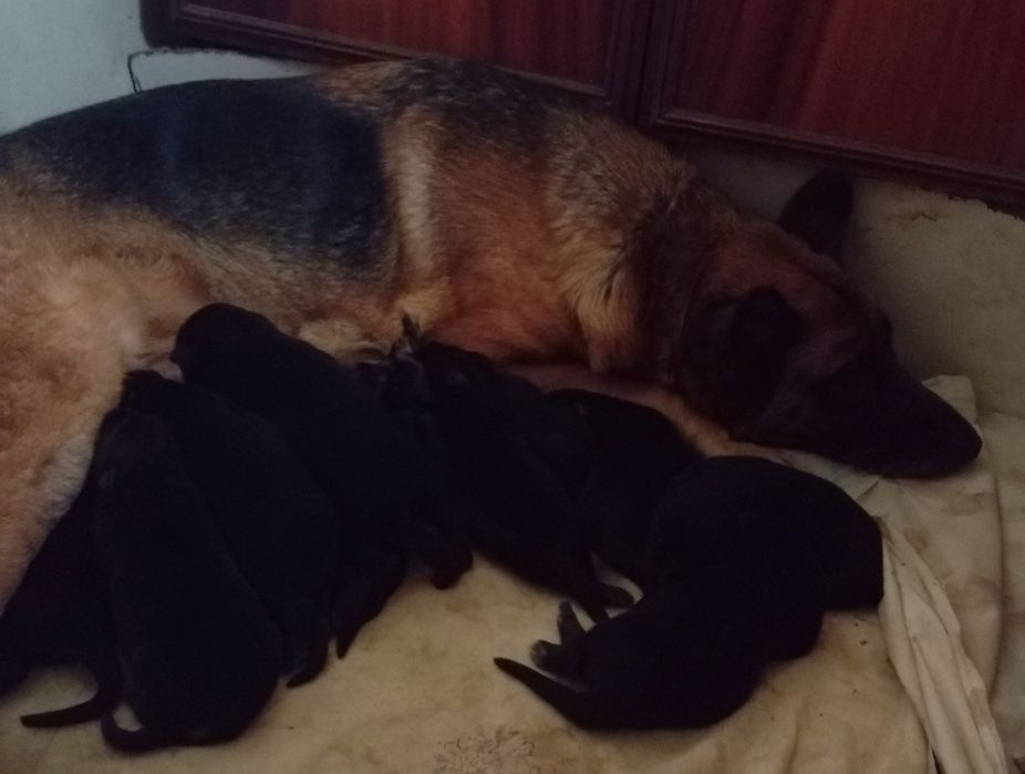 Открыта бронь .Есть мальчики и девочки.