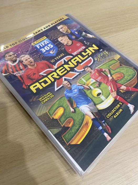 Album pilkarski z kartami