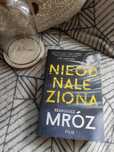 Nieodnaleziona - Remigiusz Mróz