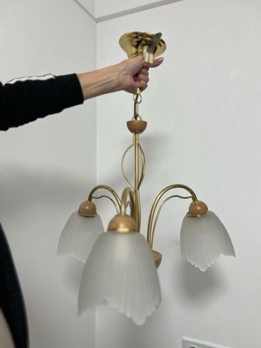 Люстра на стелю ( 3 плафона )