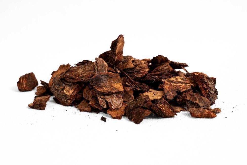 Przepiękna Kora ręcznie sortowana AŁTAJ PREMIUM- TRANSPORT GRATIS