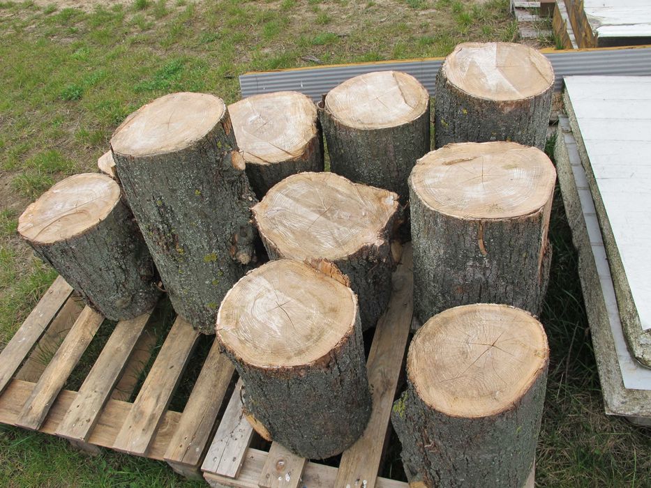 Drewno klocki lipowe