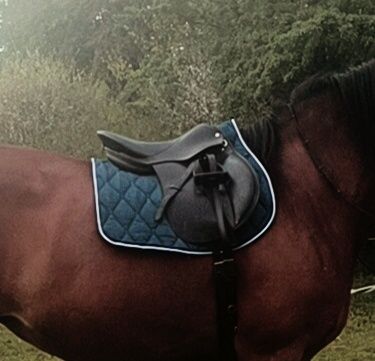 Czaprak fouganza cob/full