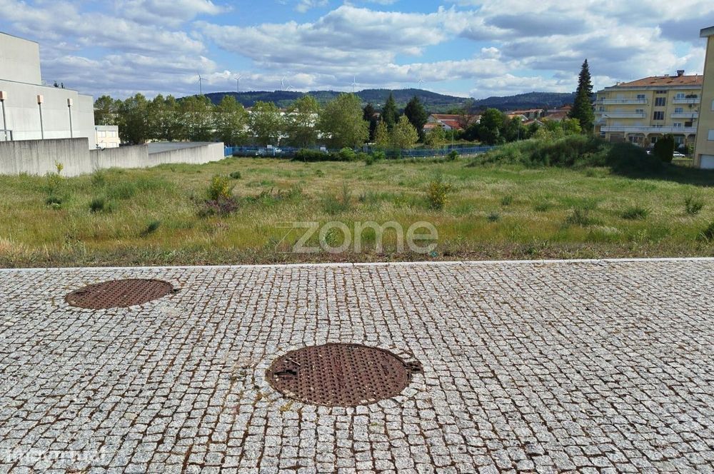 Terreno, Moimenta da Beira