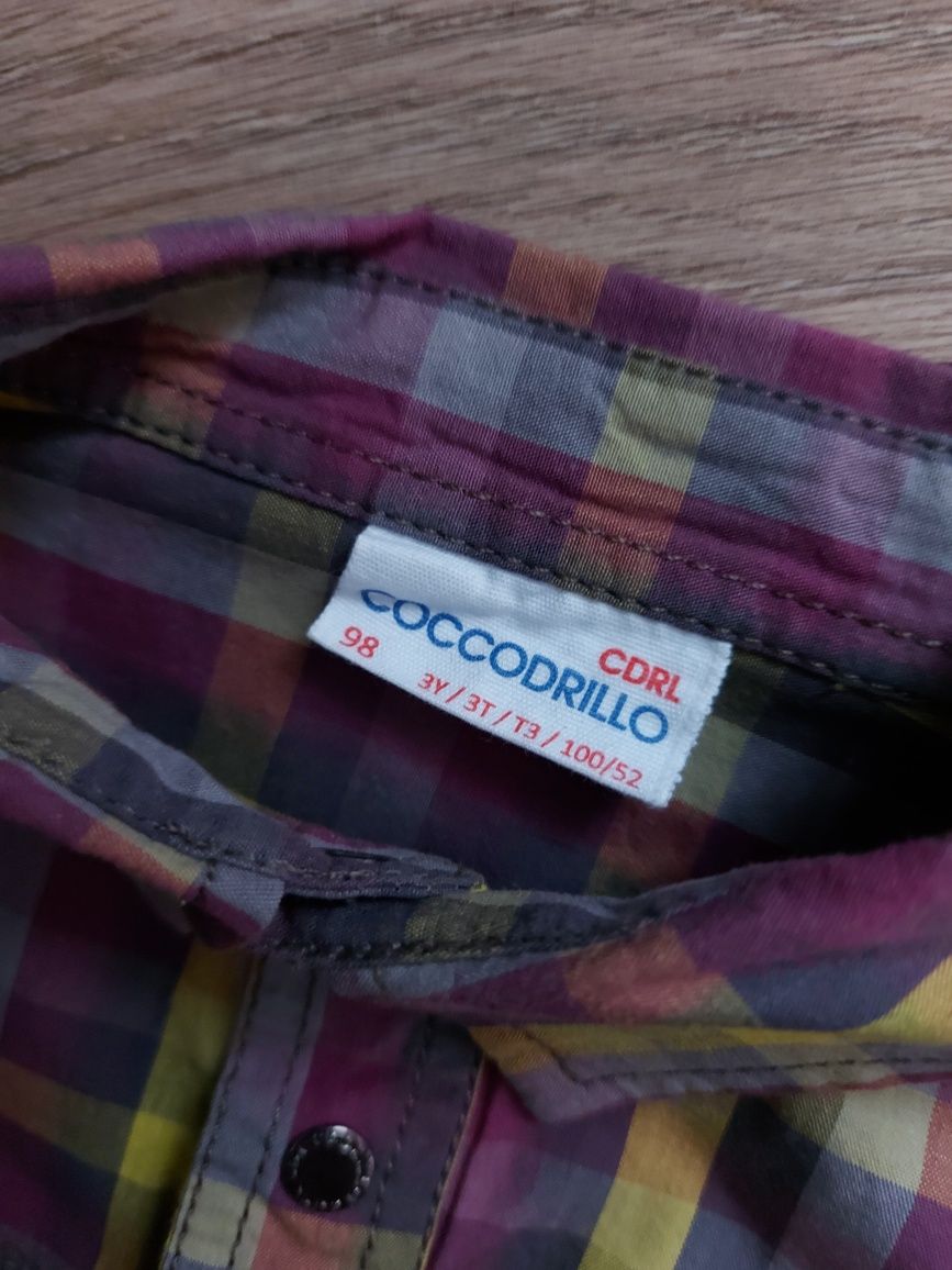 Koszula coccodrillo