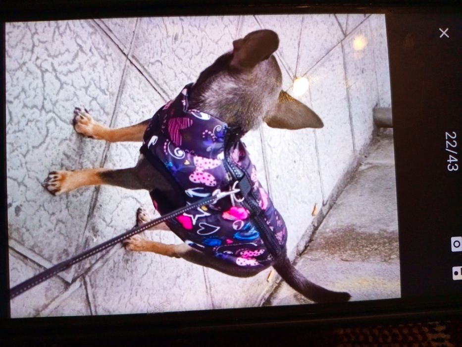 Теплий жилет  для лет