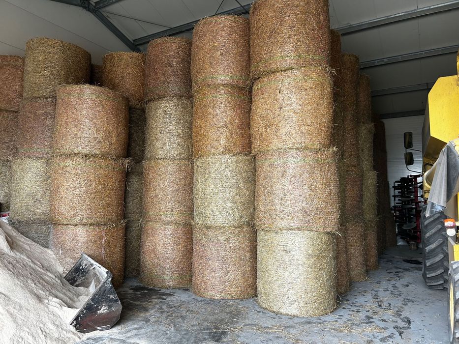 Sprzedam bele słomy z pszenżyta