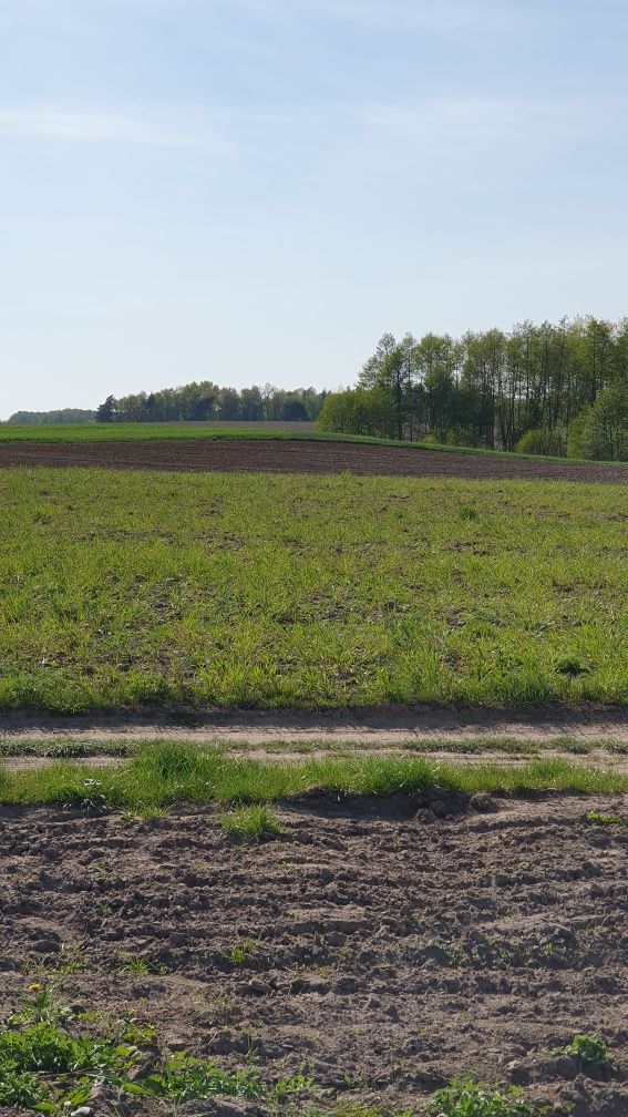 Widokowe działki budowlane nad jeziorem
