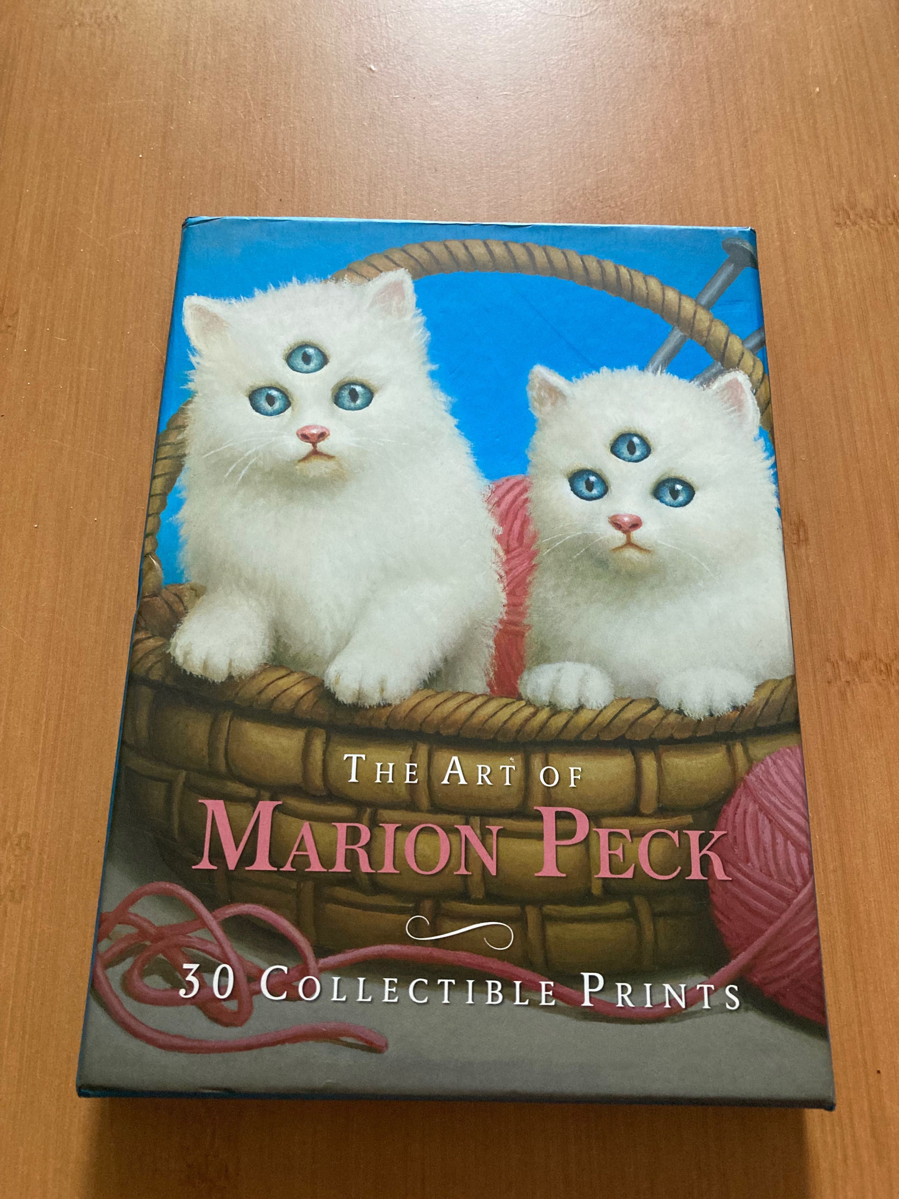 The Art of Marion Peck zestaw 30 pocztówek pocztówki