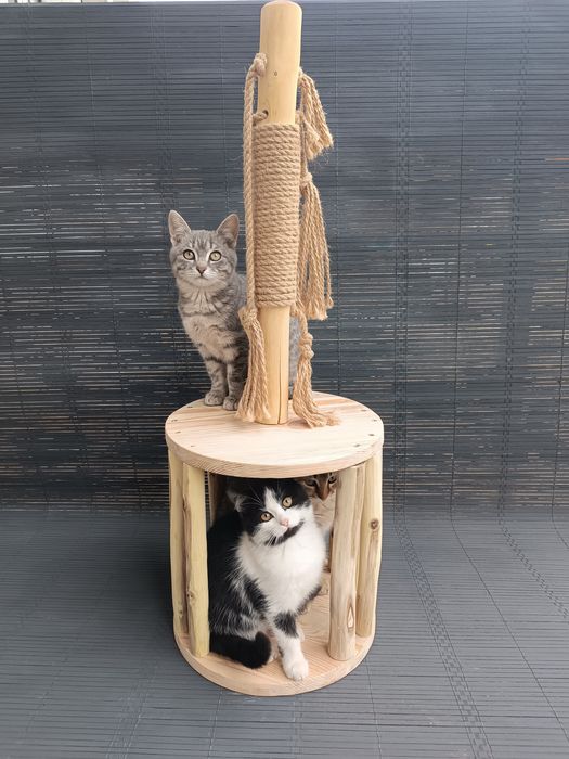 Когтеточка з натурального дерева
