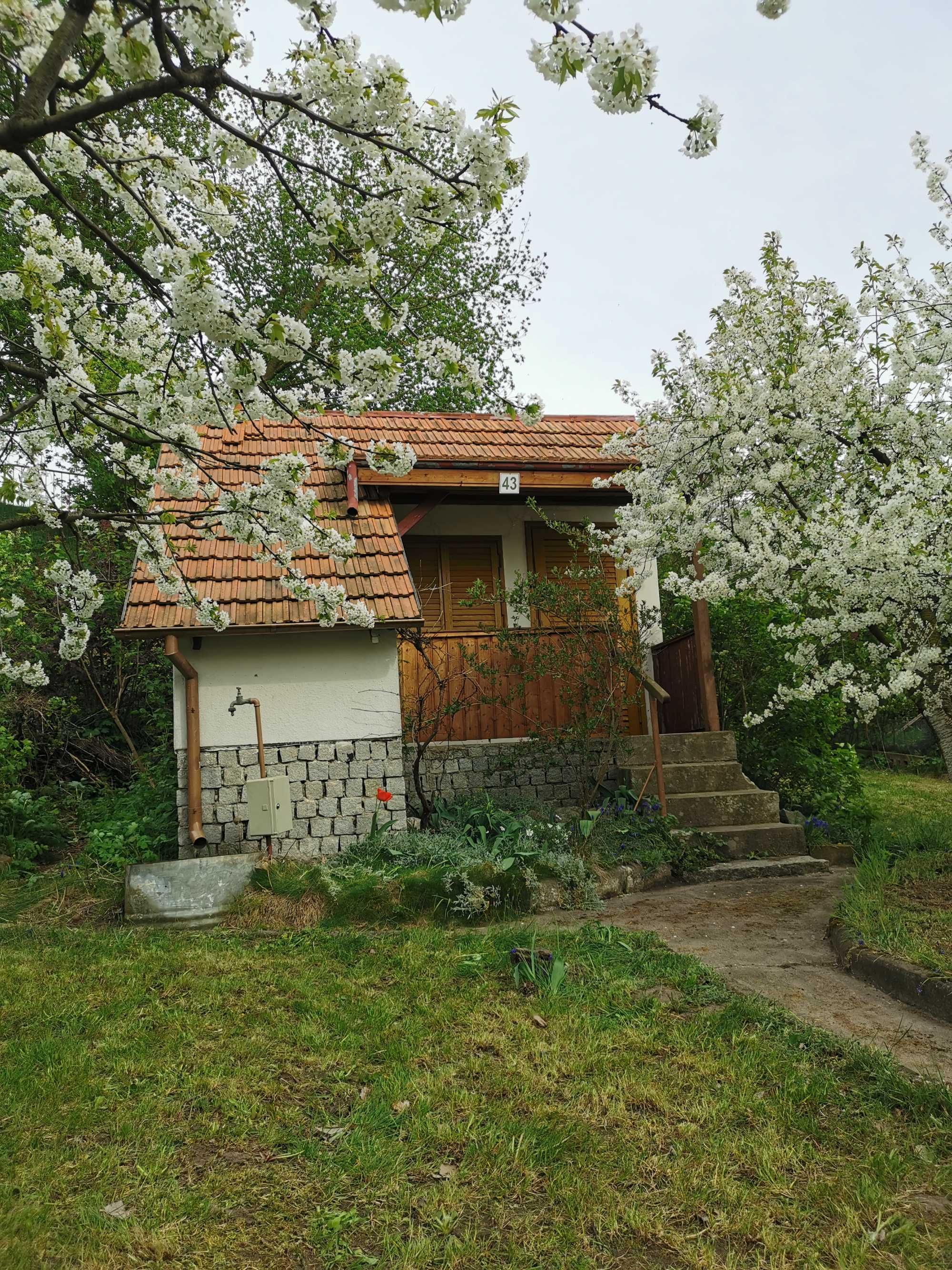 Działka ogrodowa