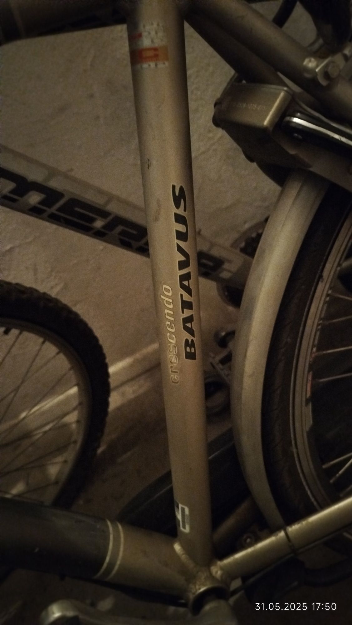 Rower męski Batavus Crescendo