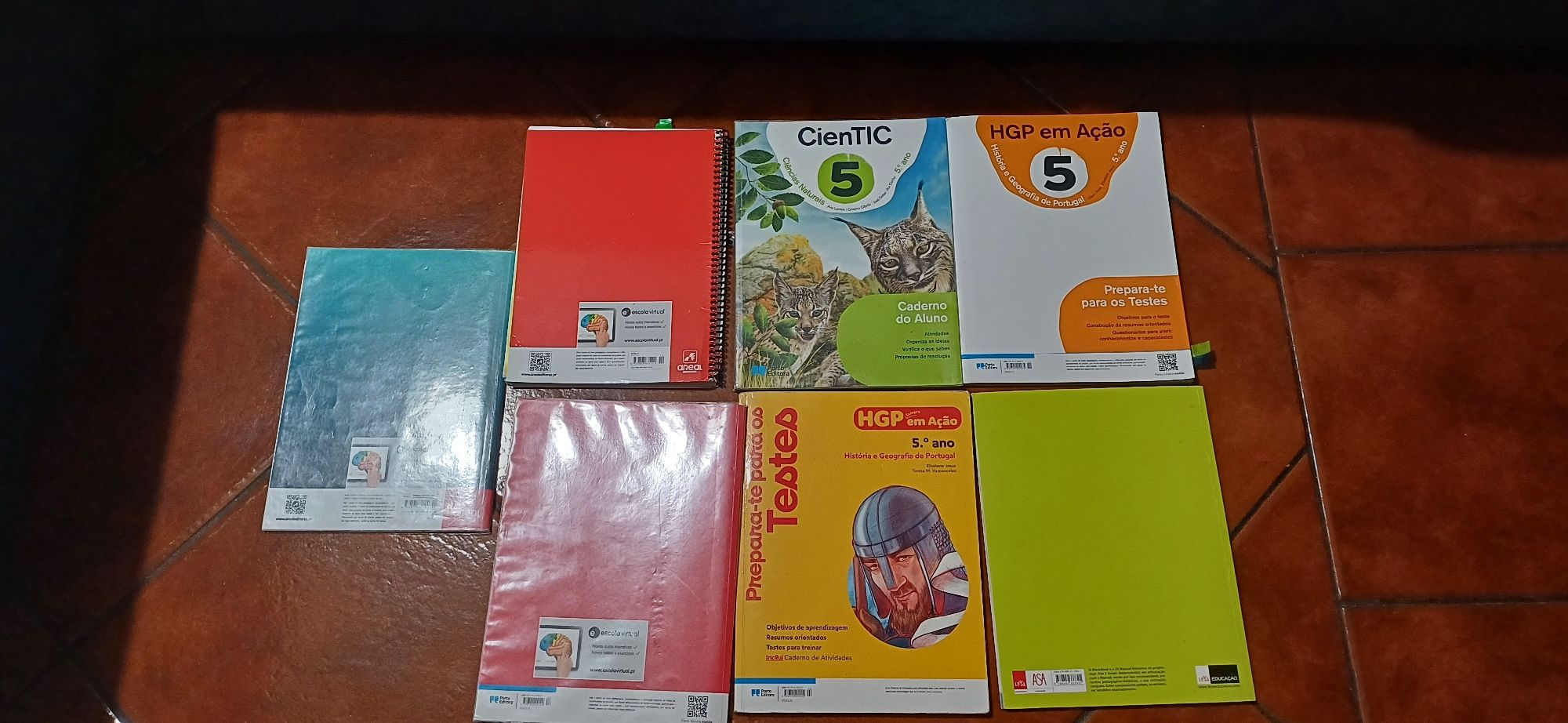 Livros de fichas 5° ano