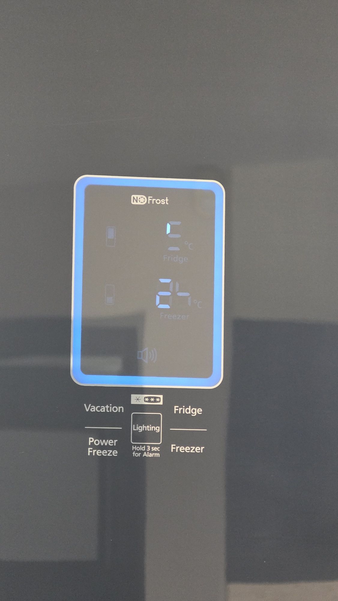 Samsung RL55VTEBG – lodówka No Frost z podświetleniem LED, 4 szuflady