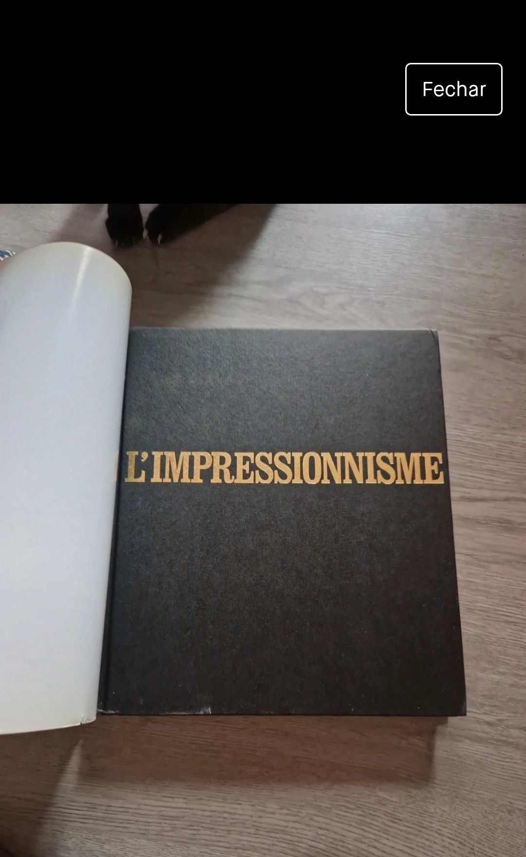 Livre "L'impressionnisme par Jean Clay"