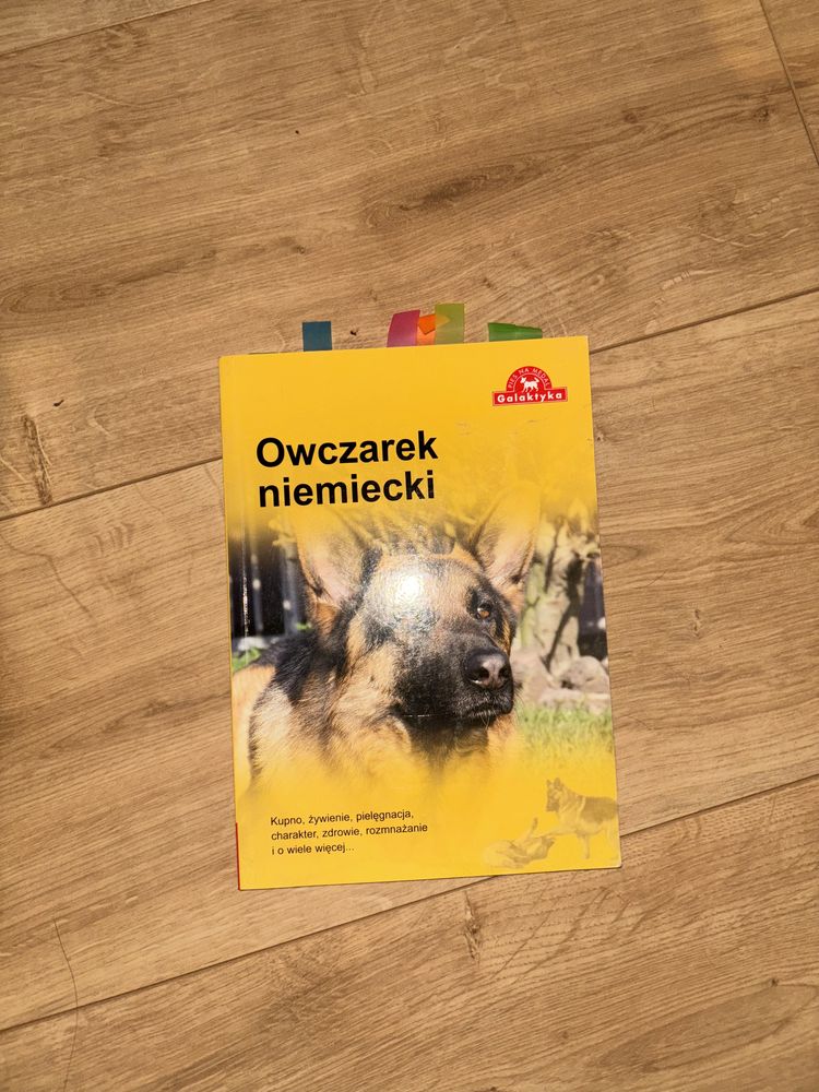 Poradnik jak zajmować sie owczarkiem niemieckim