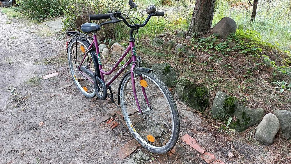 Rower Miejski Damski Express Hirty Eight 3 biegi Torpedo Damka 28