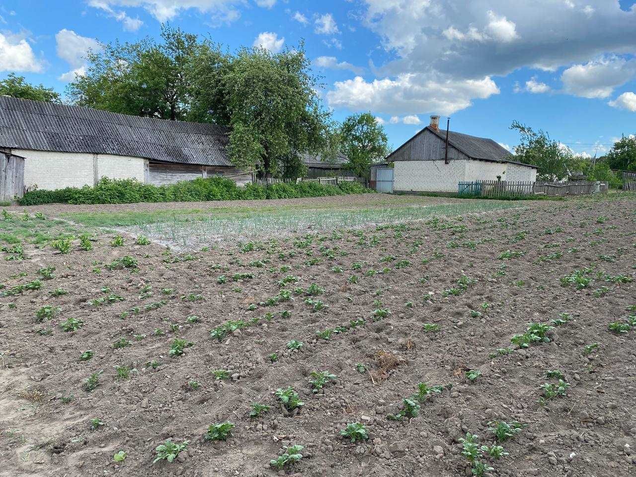 Продам будинок в селі Білашів