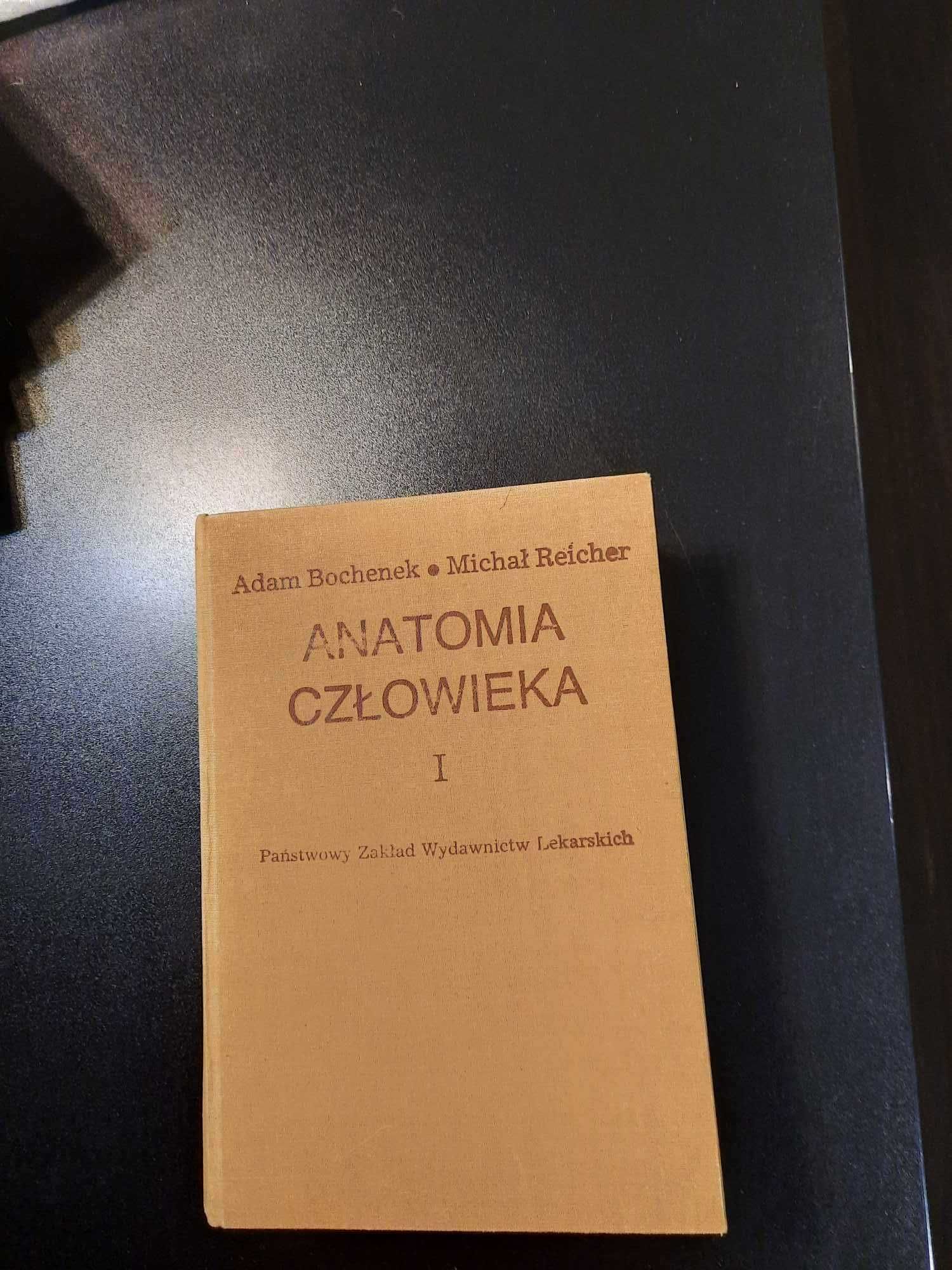 Bochenek Anatomia Człowieka