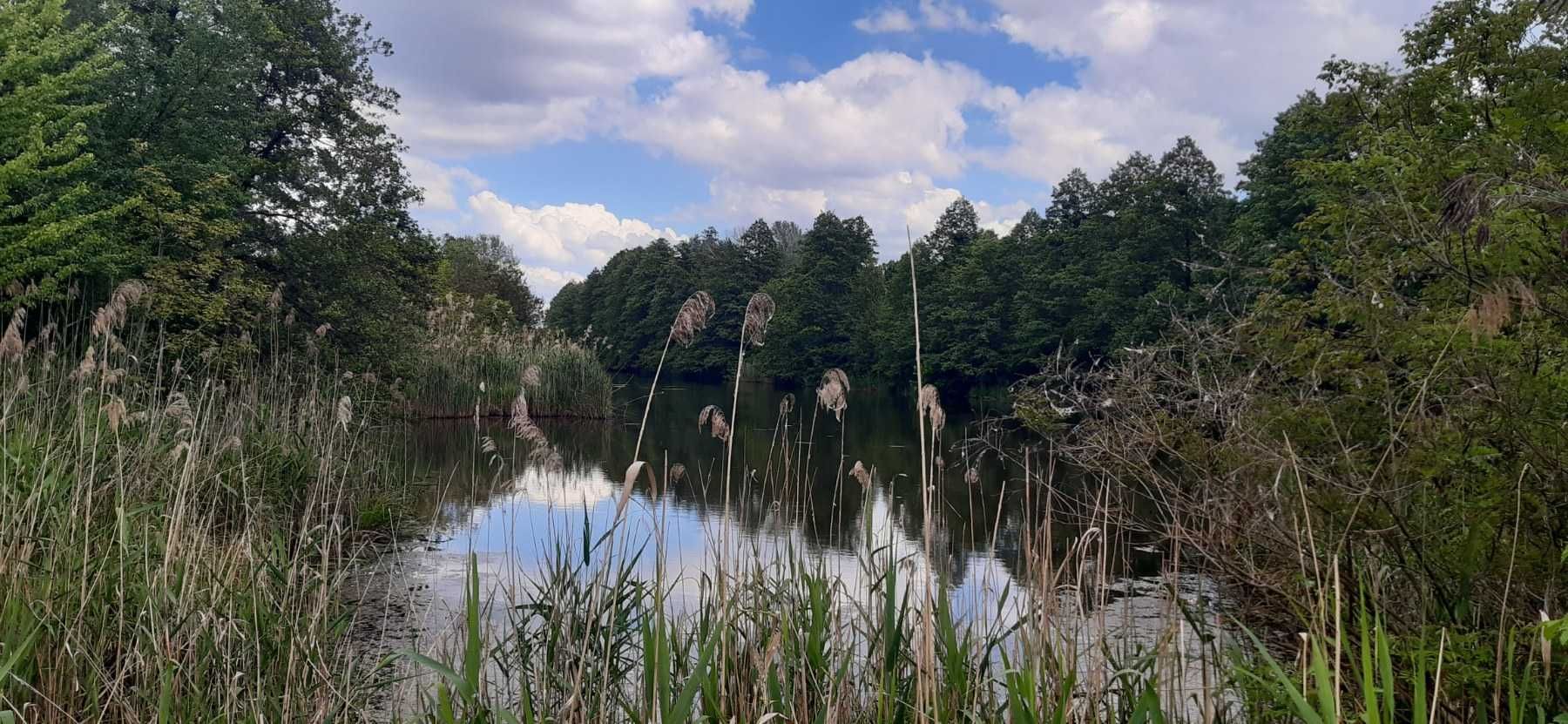 Дача. Ділянка з видом  на каналі Дніпра.