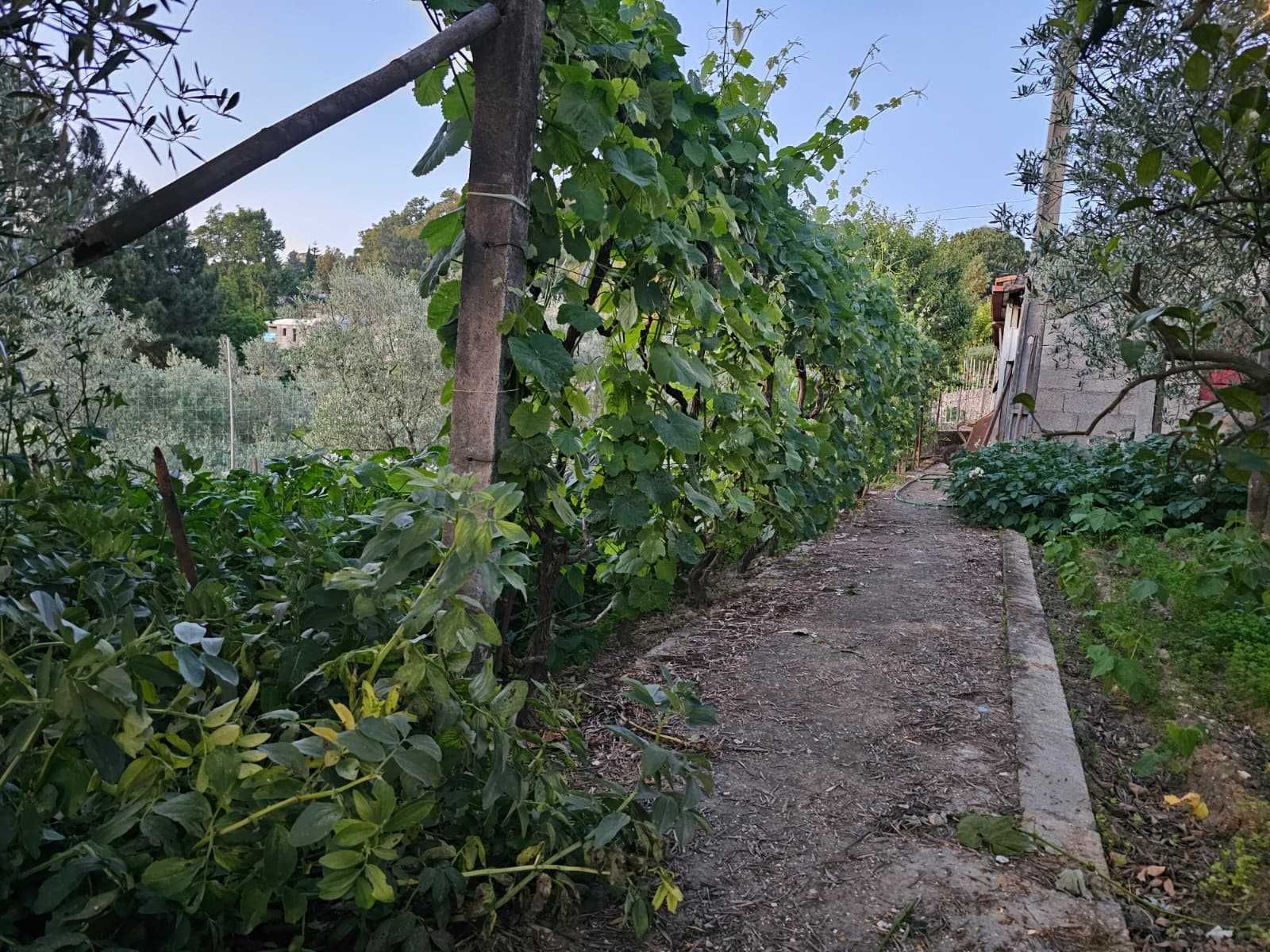 Terreno 1400 m² em Frende, com viabilidade de construção
