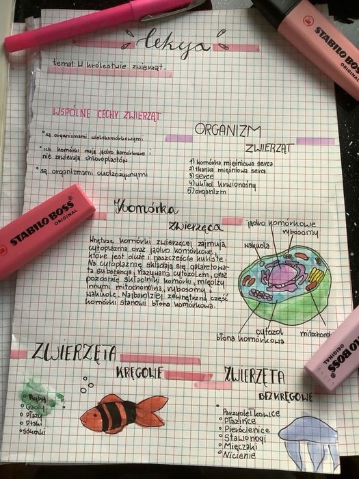 Korepetycje biologia