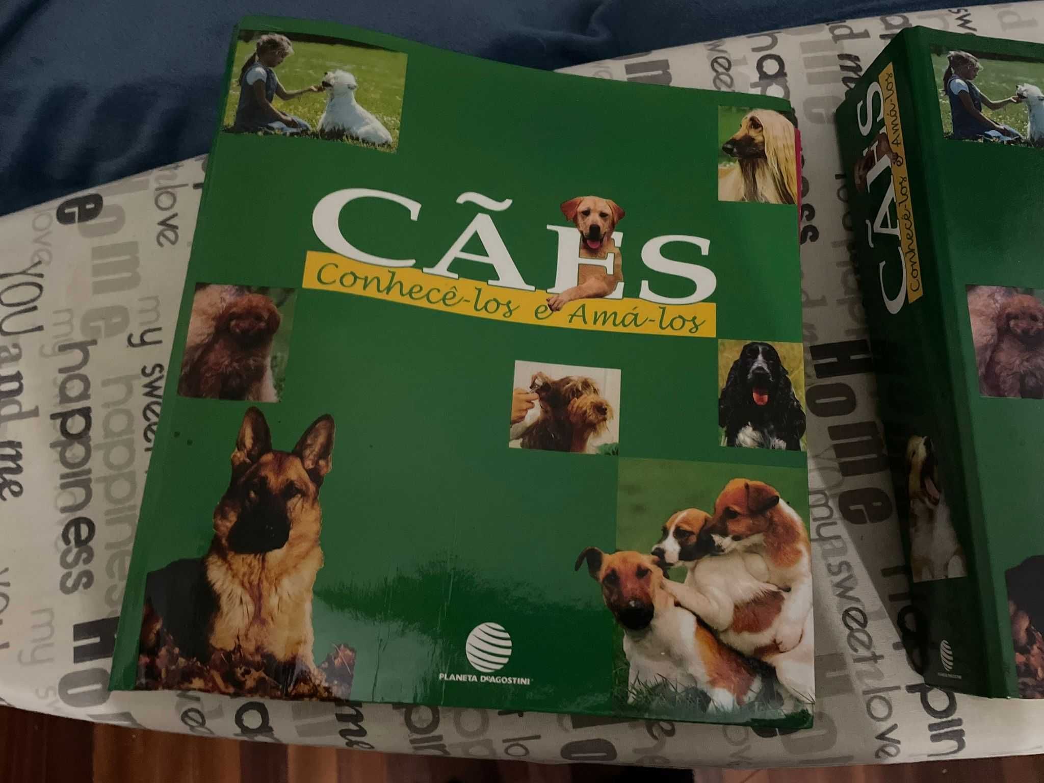 Cães - Conhecê-los e Amá-los (Planeta D'Agostine)