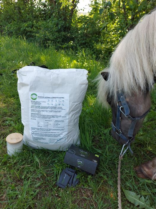 Синергія Актив це високоефективна кормова добавка для ваших улюбленців