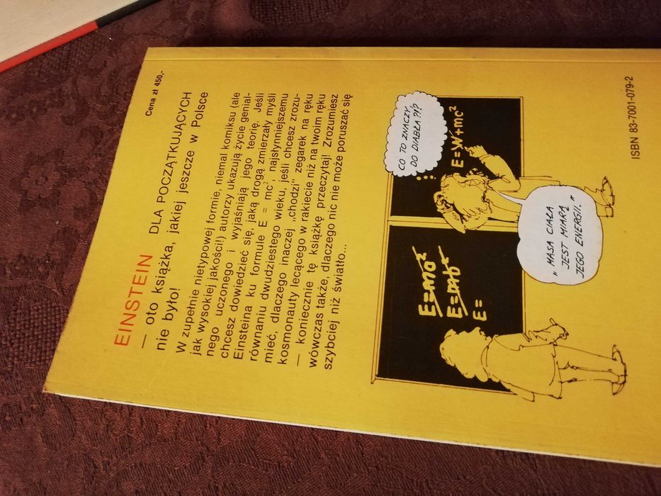 Einstein dla początkujących. Joseph Schwartz.