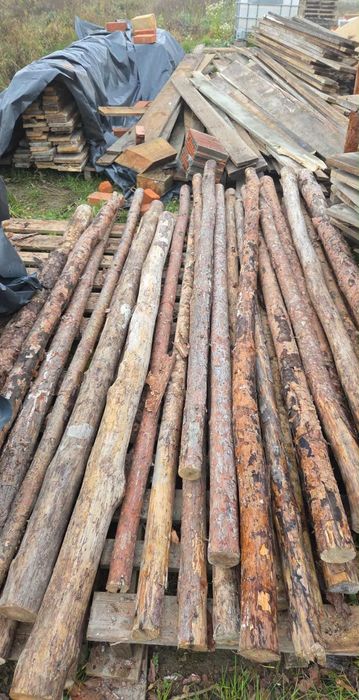 Stemple sosnowe budowlane