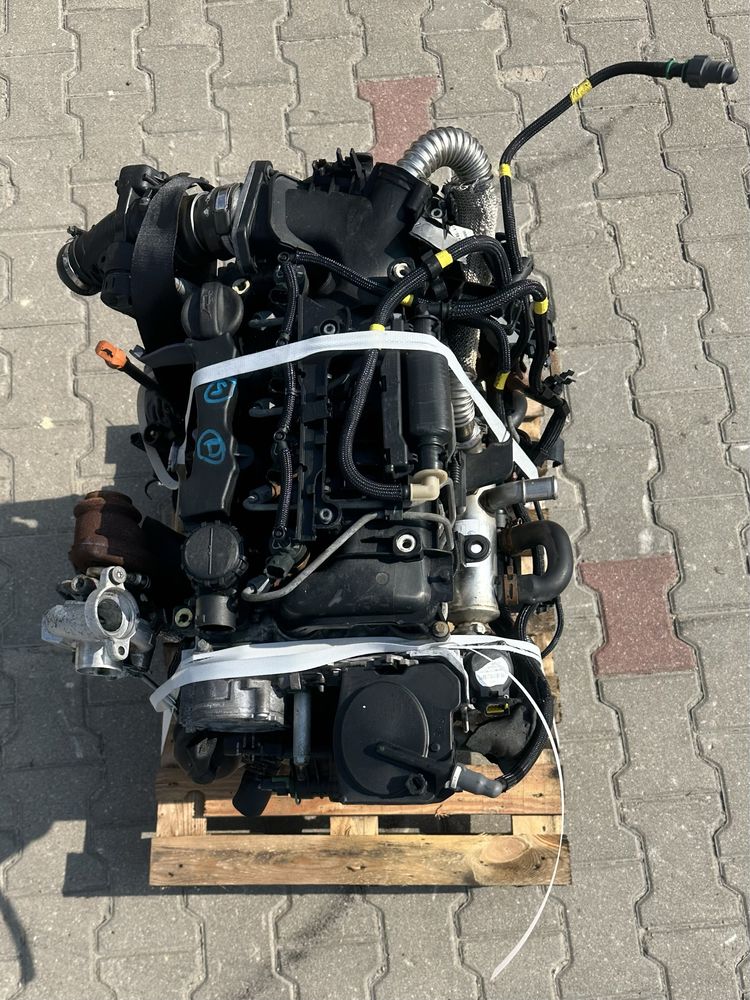 Silnik 1.6 hdi 9HX citroen peugeot 4 miesiące gwarancji