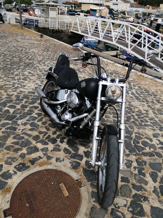 Harley davidson softail