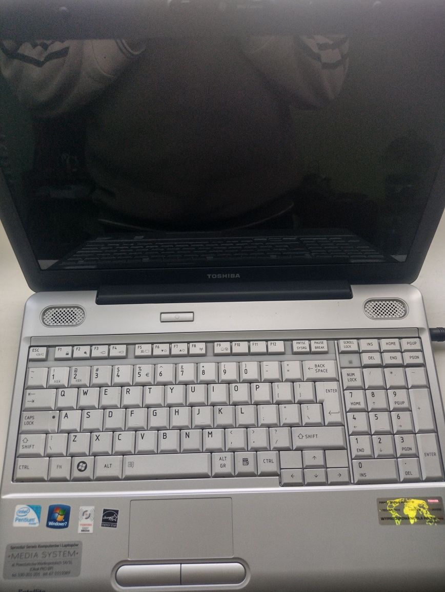 Ноутбук TOSHIBA L500-1FW