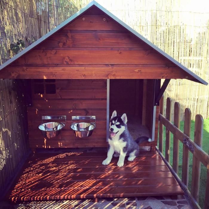 Casotas&Companhia! - Casota em Madeira Mod. Zeus XL Plus Lite