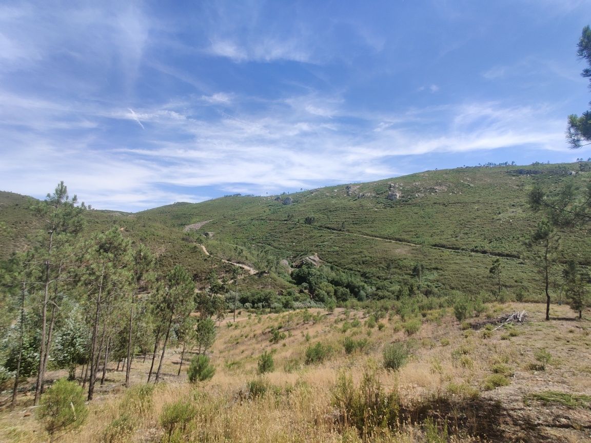 Terreno Rústico 5000m2