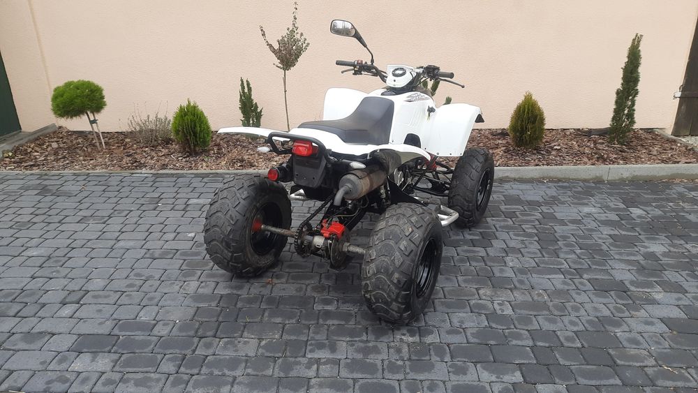 Quad Adly 300 Honda homologacja l7e rejestracja