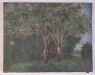 Paisagem com árvores  - Pintura a óleo sobre tela - BARBIZON - Quadro