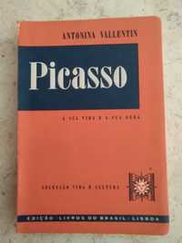 Picasso – A sua Vida e a sua Obra