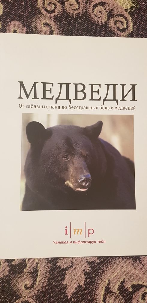 Книга Животные планеты Энциклопедия Медведи Кристина Курвен