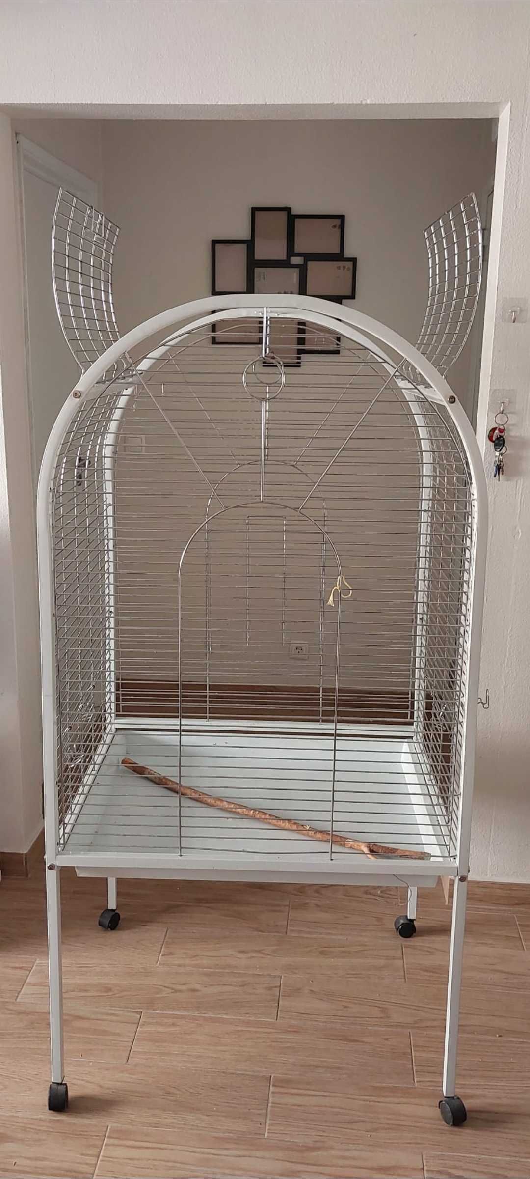 Vendo gaiola semi nova