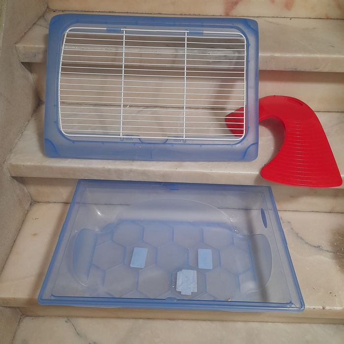 Caixa roedores e ou tartarugas