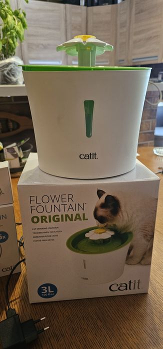 Fontanna poidełko dla kota